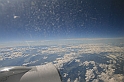 Kanary_2010 161
